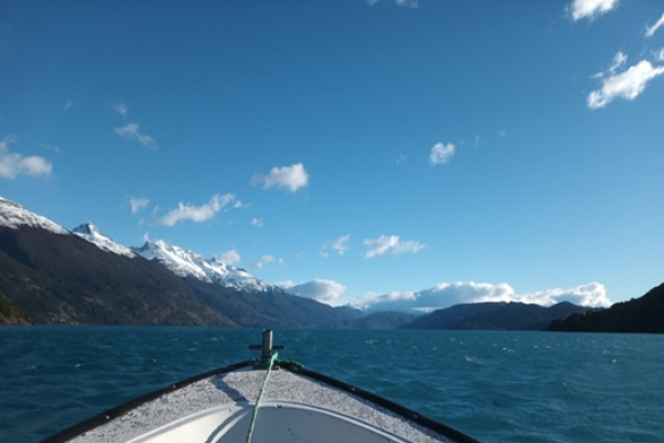 Excursión Lago Bertrand, Lago Plomo  Excursión Lago Bertrand, Lago Plomo